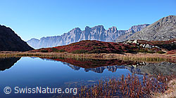 F043385: Herbststimmung am Bergsee