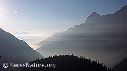 F043438: Herbststimmung mit Bergketten