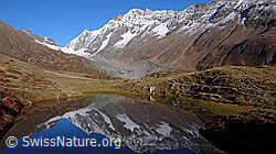 F043641: Spiegelung im Guggisee
