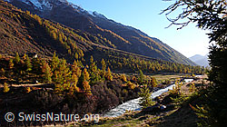 F043657: Herbstfarben im Lötschental