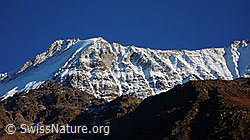 F043660: Lötschentaler Breithorn