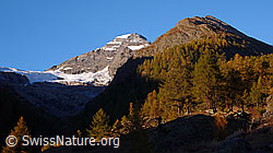 Photo: Lauterbrunnen Breithorn und Inner Talgletscher
