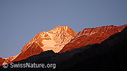 Photo: Klein Nesthorn, Bietschorn, Nestgletscher und Schafberg