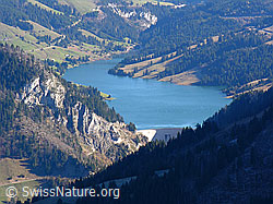 F043921: Stausee Lac de l