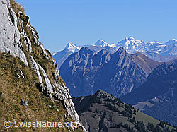 F043922: Eiger, Mönch, Jungfrau, Rocher Plat und Le Rubli