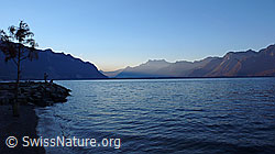 F044031: Morgenstimmung am Genfersee bei Montreux