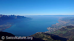 F044042: Genfersee vom Rochers de Naye