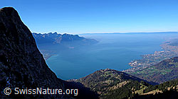 F044062: Genfersee und Montreux