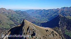 F044070: Rochers de Naye: Greyerzerland