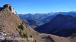 F044081: Rochers de Naye: Lac de l