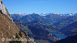 F044083: Rocher Plat, Rocher du Midi, Gummfluh