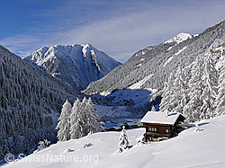 F044118: Chalet in unberührter, frisch verschneiter Berglandschaft