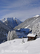 F044123: Winter im Binntal