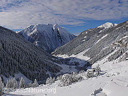 F044130: Binntal im Winter