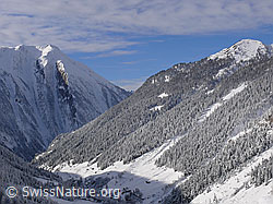 F044135: Frisch verschneites Bergtal