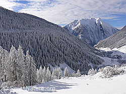 F044136: Binntal mit Neuschnee