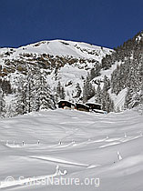 F044150: Chalets am Fusse eines Berges