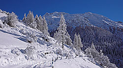 F044192: Winterlandschaft mit Licht und Schatten