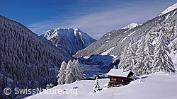 F044194: Alphütte und Bergtal mit Neuschneedecke