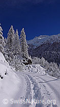 F044203: Schneeschuhtrail im Wallis
