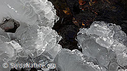 F044390: Gebilde aus Eis