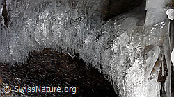 F044392: Gefrierendes Wasser (Eisbirne)