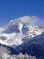 F044447: Verschneites Gebirge mit Wolke