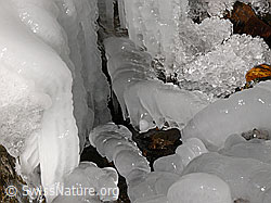 F044511: Natürliche Eisskulptur