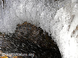 F044512: Gefrierendes Wasser