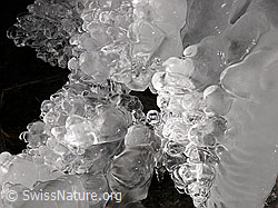 F044526: Natürliches Kunstwerk aus Eis