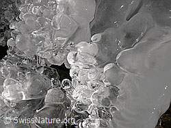 F044529: Natürliches Kunstwerk aus Eis