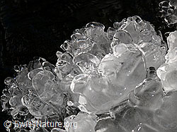 F044531: Natürliches Kunstwerk aus Eis