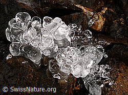 F044536: Natürliche Eisskulptur