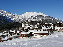 F044632: Bergdorf Ernen im Winter