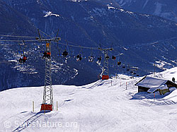 F044814: Sessellift und Skipiste