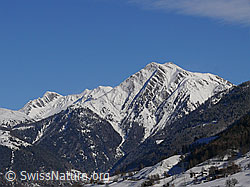 F044852: Eggerhorn und Grengiols