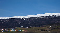 F044943: Chasseral, Jura