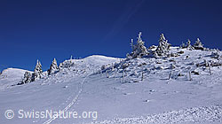 F044944: Winterlandschaft am Chasseral