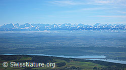 F044951: Bielersee und Berner Alpen