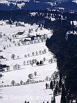 F045008: Baumreihen in Winterlandschaft