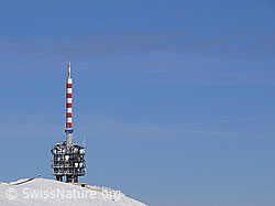 F045010: Antenne auf dem Chasseral