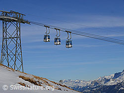 F045095: Gondelbahn Beatenberg - Niederhorn