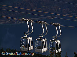 F045099: Gondelbahn Beatenberg - Niederhorn
