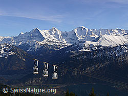 F045102: Gondelbahn vor Eiger, Mönch und Jungfrau