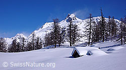 F045413: Wind in den Bergen und eingeschneite Alphütte