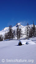 F045414: Alphütte mit Schnee