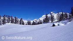 F045415: Unberührte Schneefläche in Berglandschaft