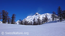 F045424: Winterlandschaft und Schneefahne