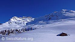 F045443: Berglandschaft mit Alphütte im Winter