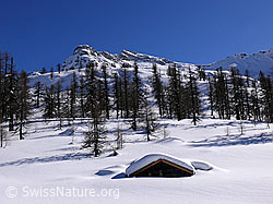 F045476: Winterlandschaft mit Hütte und Berg